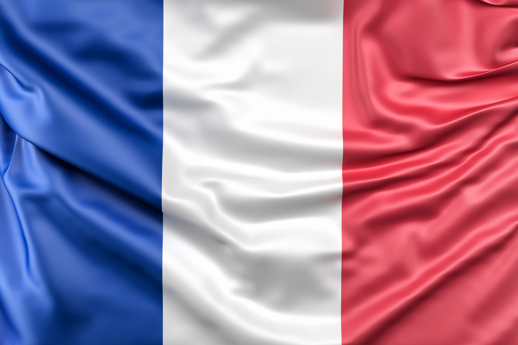 CURSOS DE CAPACITACIÓN EN IDIOMAS flag of france